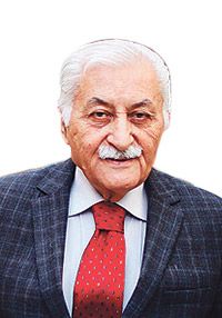 Yavuz Bülent Bakiler